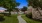 a walkway with grass and trees